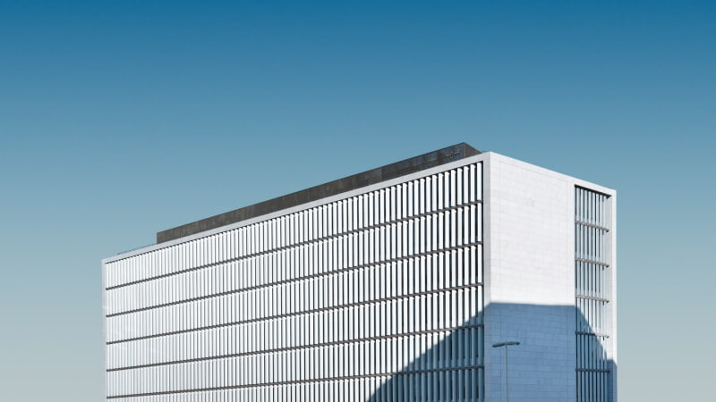 Planta Metalmorfosis